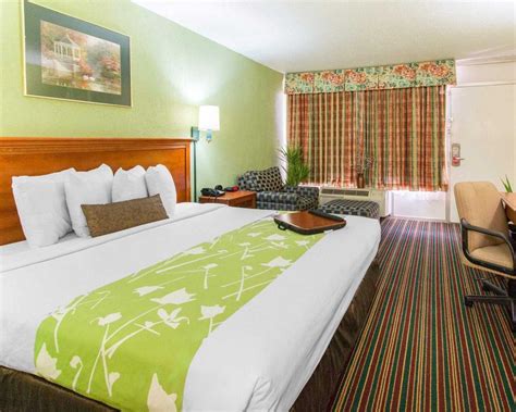 pet friendly hotels 95 georgia.